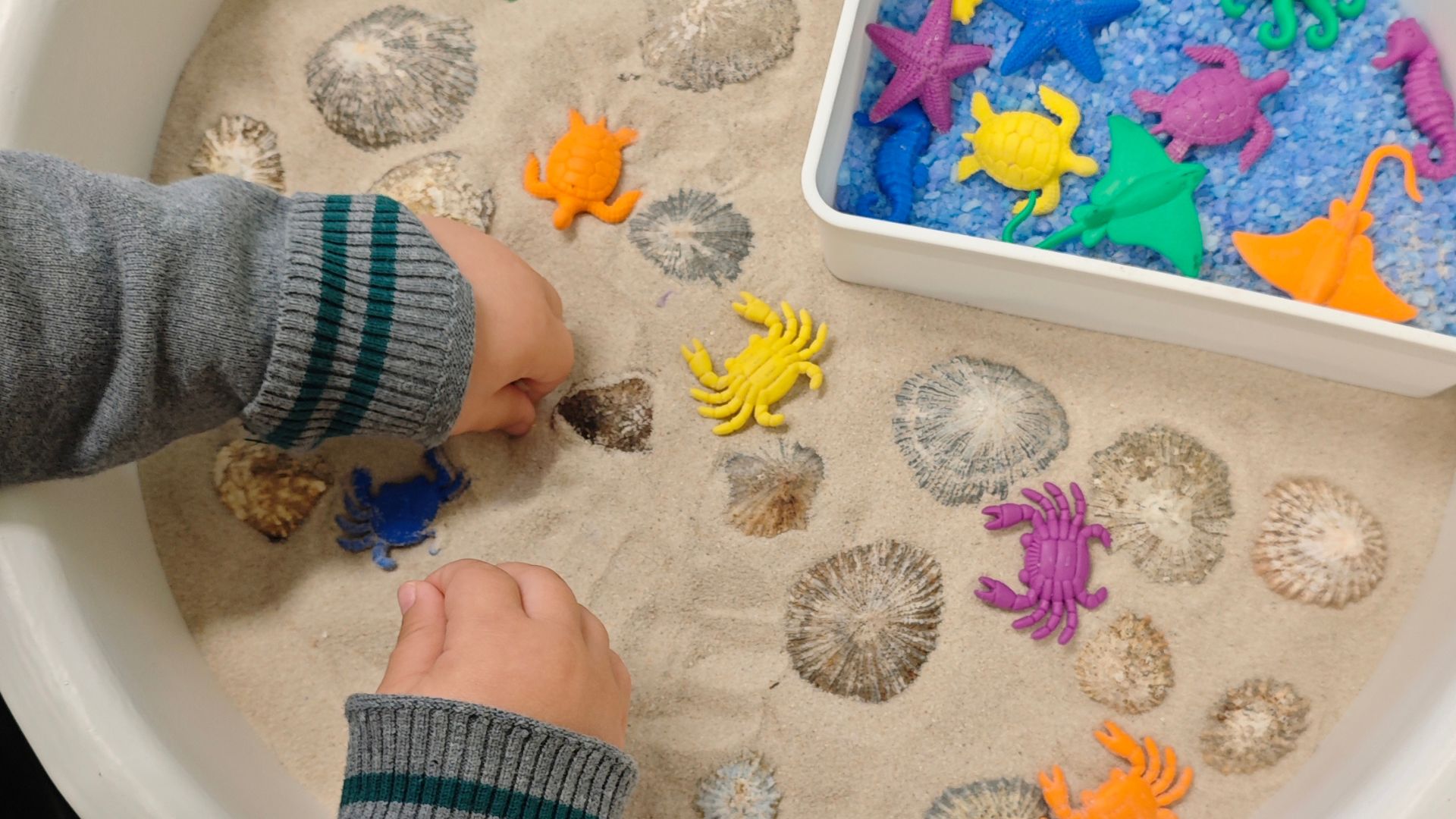 Toddler playing with colorful ocean animal toys in a sensory bin during a sensory play activity.